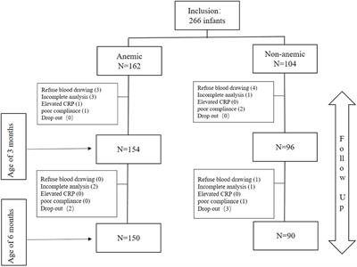 Effect of Daily Iron Supplementation on Infantile Iron Homeostasis in Preterm Infants